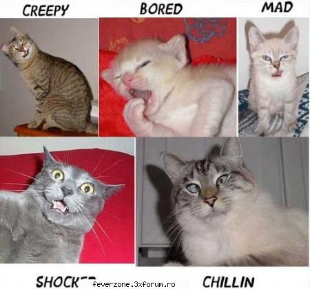 funnny pics! - hihi!think pink!:D - Poze dragutze