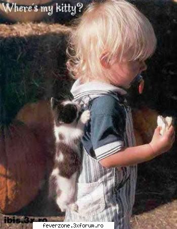 funnny pics! - Mom!! I think I lost the cat!! - Poze dragutze