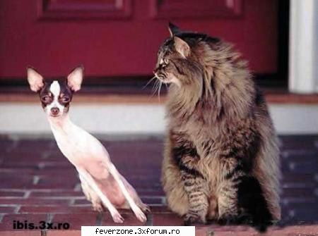 =)) lol funnny pics!